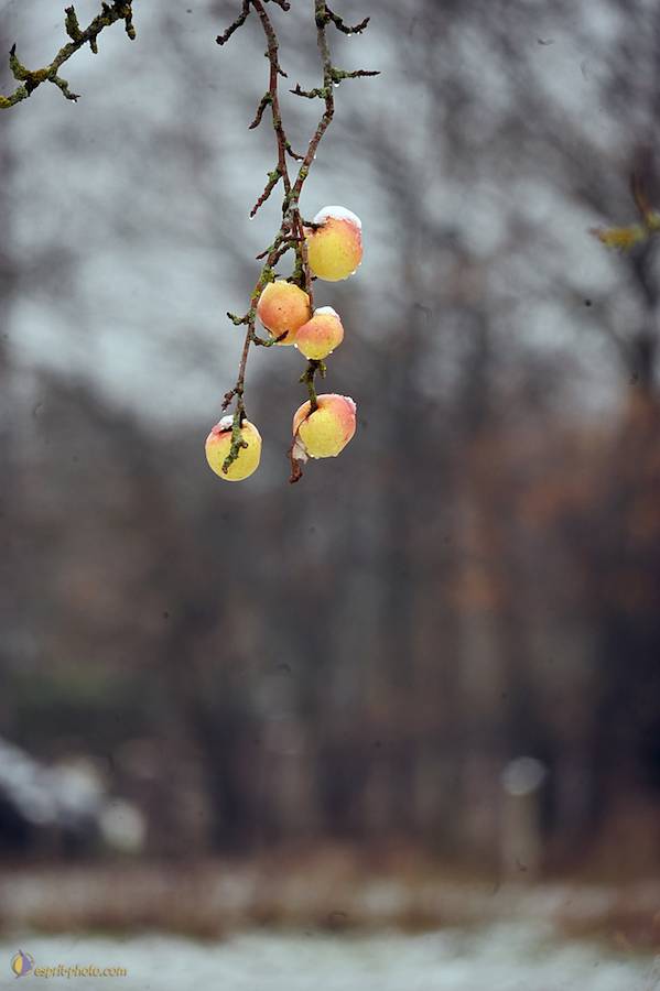 Nom de l'image : D30038098_1_(c)Norbert-JUNG — Description :